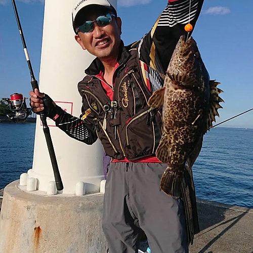 タケノコメバルの釣果