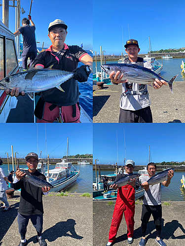 カツオの釣果