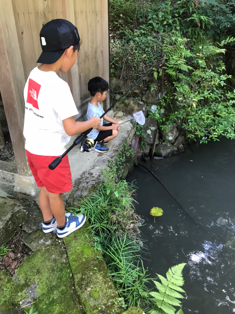 玉壺 さんの 2023年07月16日のザリガニの釣り・釣果情報(愛知県 - 庄内川) - アングラーズ | 釣果600万件の魚釣り情報サイト