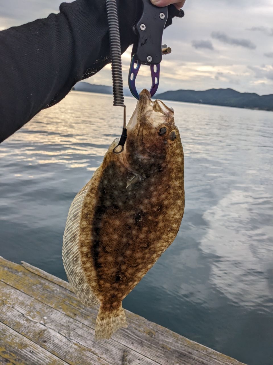 とむたむさんの釣果 2枚目の画像