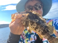 タケノコメバルの釣果