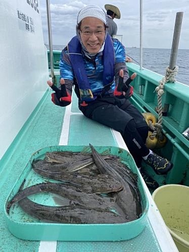 マゴチの釣果