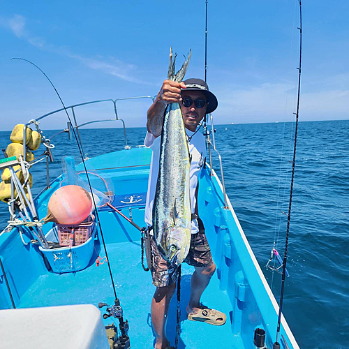 シイラの釣果