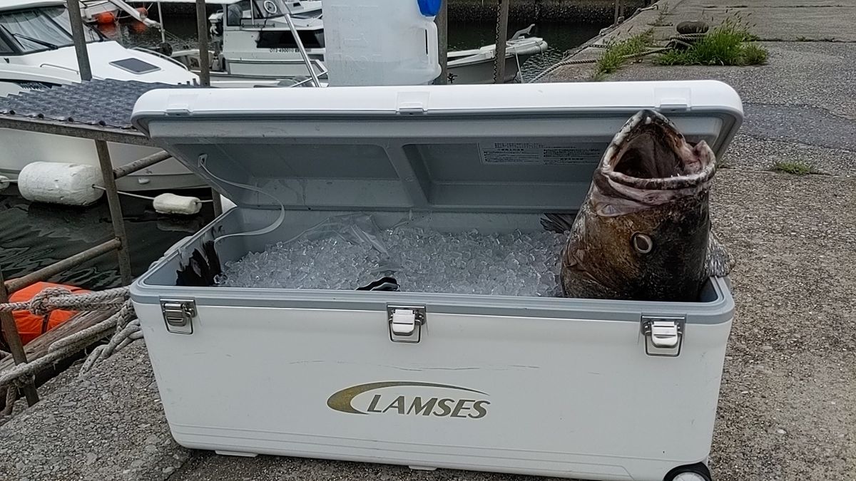 さよちゃんパパさんの釣果 2枚目の画像