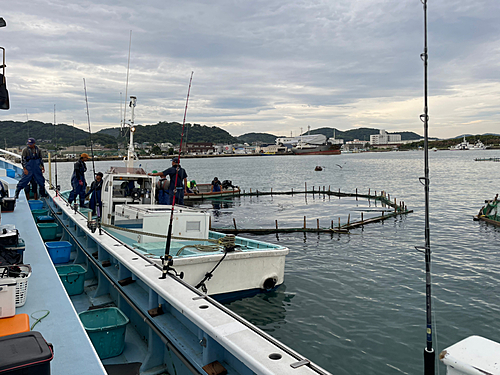 ツムブリの釣果