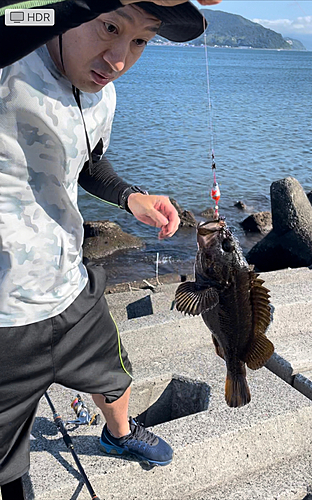 ムラソイの釣果