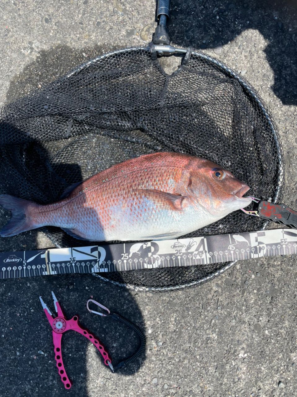 よしよし0929さんの釣果 3枚目の画像