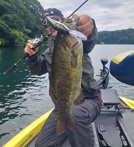 スモールマウスバスの釣果