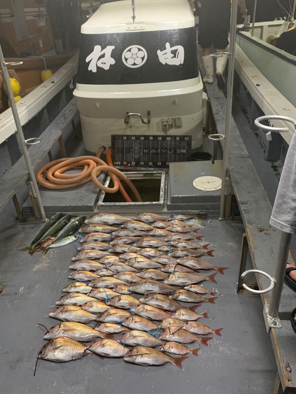 わじゅけんさんの釣果 3枚目の画像