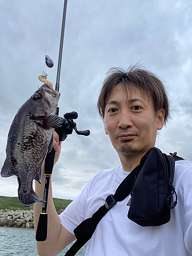 クロソイの釣果