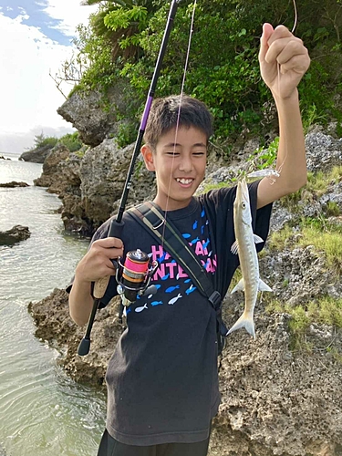 オニカマスの釣果