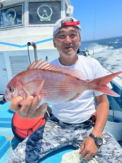 マダイの釣果