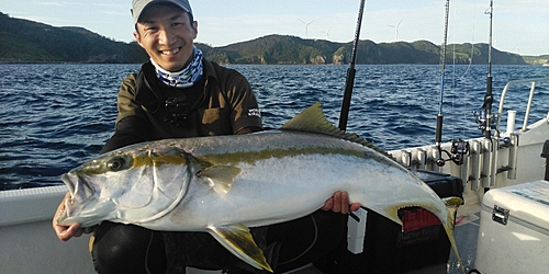 ヒラマサの釣果