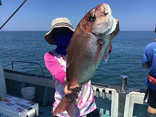 ヒラマサの釣果