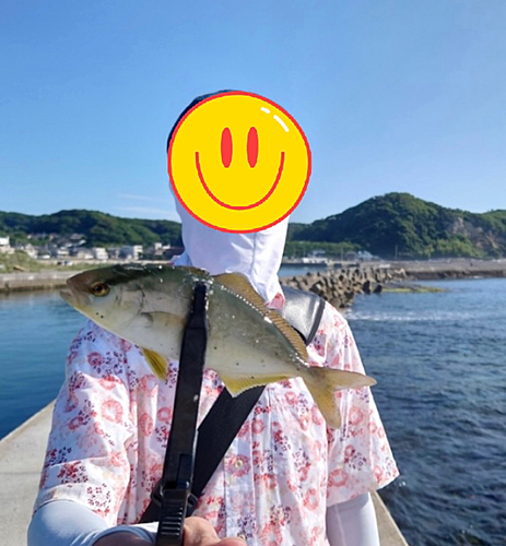 ショゴの釣果