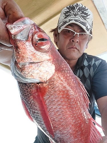 アカムツの釣果