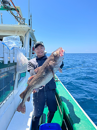 マダラの釣果