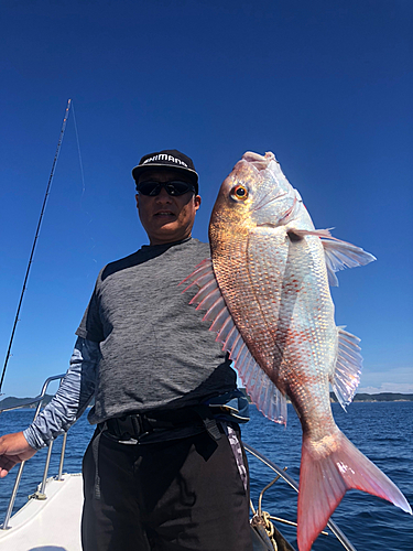 マダイの釣果