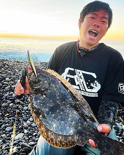 ヒラメの釣果