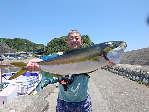 ヒラマサの釣果