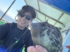 カワハギの釣果