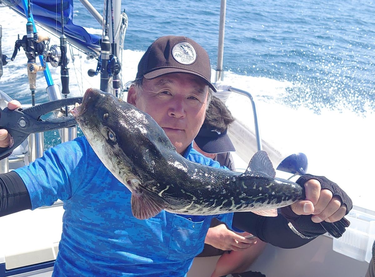 齋藤 兼司さんの釣果 1枚目の画像