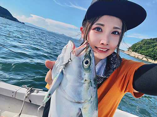 ハマチの釣果