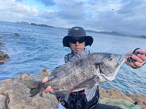 アラカブの釣果