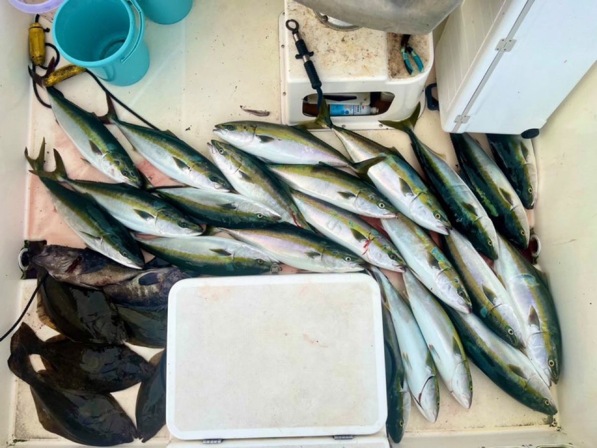 ナガセセセさんの釣果 2枚目の画像