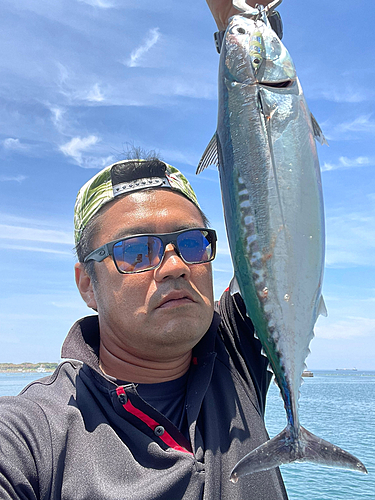 ソウダガツオの釣果