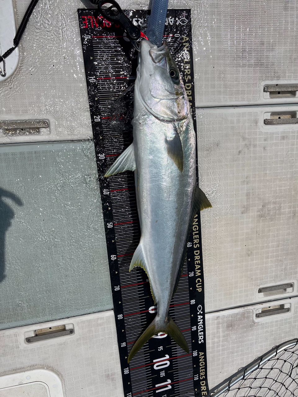 遊漁船たかくらさんの釣果 1枚目の画像