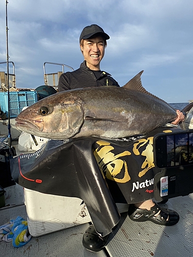 カンパチの釣果