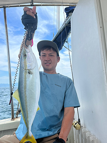 ハマチの釣果