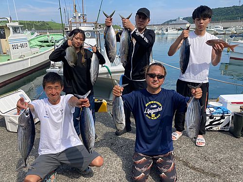 カツオの釣果