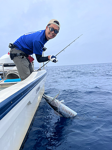 オキサワラの釣果