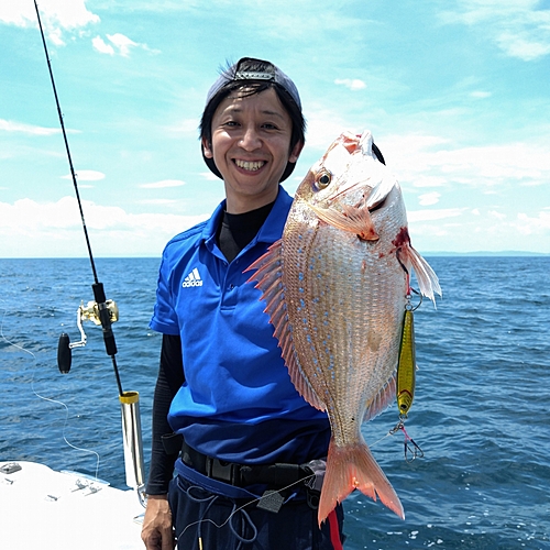 ハナダイの釣果