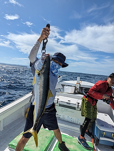 ヒラマサの釣果