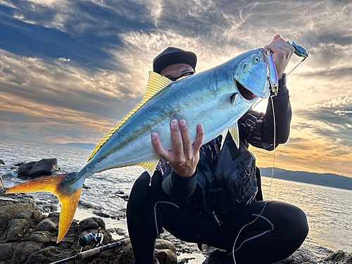 メジロの釣果