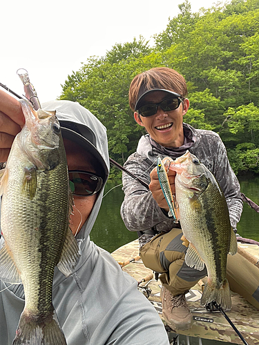 ブラックバスの釣果