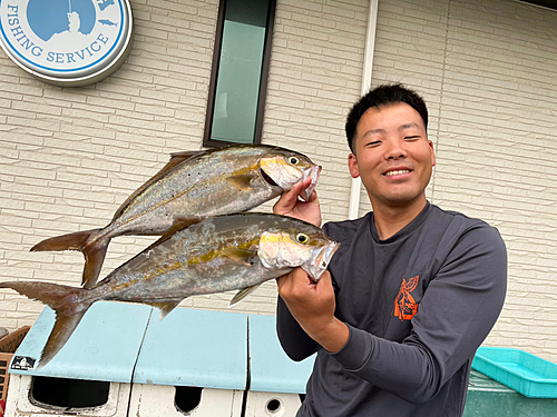 カンパチの釣果