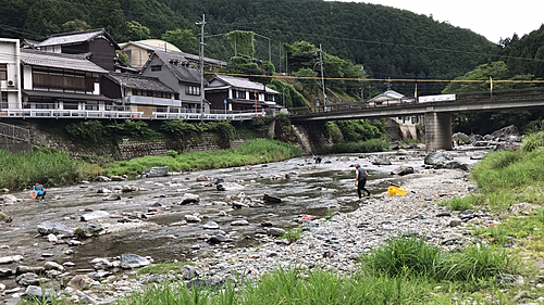 アユの釣果