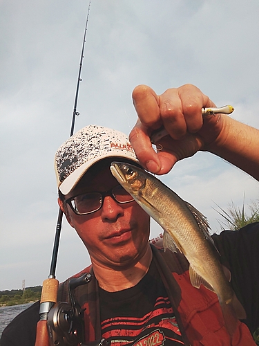 アユの釣果