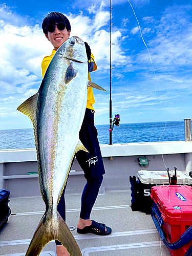 ヒラマサの釣果