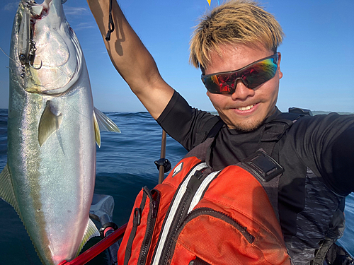 ブリの釣果