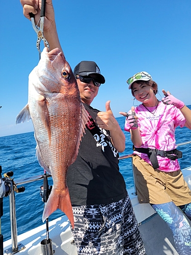 マダイの釣果