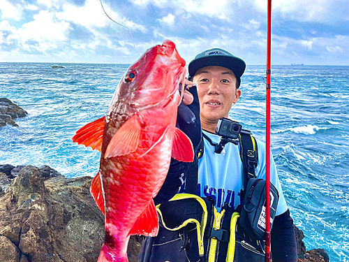 ホウライヒメジの釣果