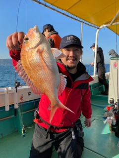 タイの釣果