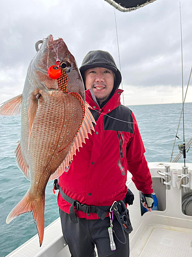 タイの釣果