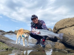 ヒラスズキの釣果