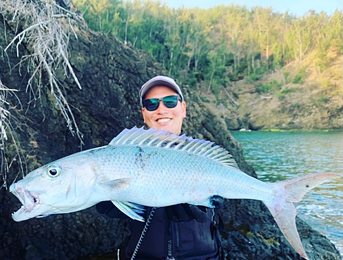 アオチビキの釣果